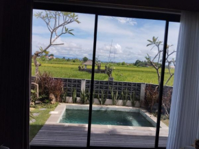 A Lodge bali